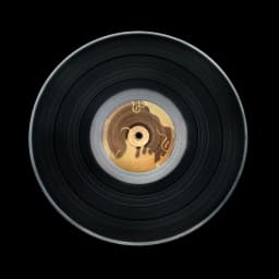 Vinyl Record